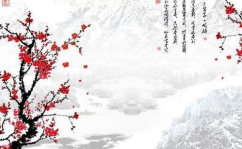 关于梅花的诗句古诗,梅花香自苦寒来——古诗词中的梅花意象解读