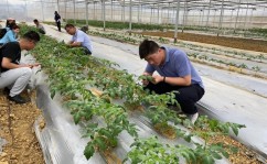 宜宾市叙州区俊峰桐油有限公司得到用于桐油坐蓐的重淀安装专利升高重淀出力 ，敏锐的近义词和反义词docx，敏锐的反是什么大全（UCC25710：LED 照明用LLC 半桥式左右器使用详解）