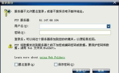 ftp空间,FTP空间使用与管理概述