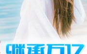 陈平江婉全文免费阅读 最新章节,豪门逆袭，巅峰人生