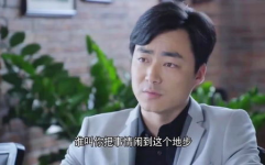 梅花儿香电视剧全集在线观看,穿越人生风雨，绽放自强芬芳
